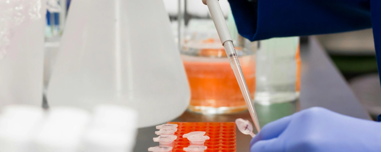 Was sind Anti-Nephrin-Antikörper und welche Rolle spielen sie bei chronischen Nierenerkrankungen?