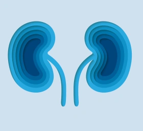 Fokal-segmentale Glomerulosklerose (FSGS)