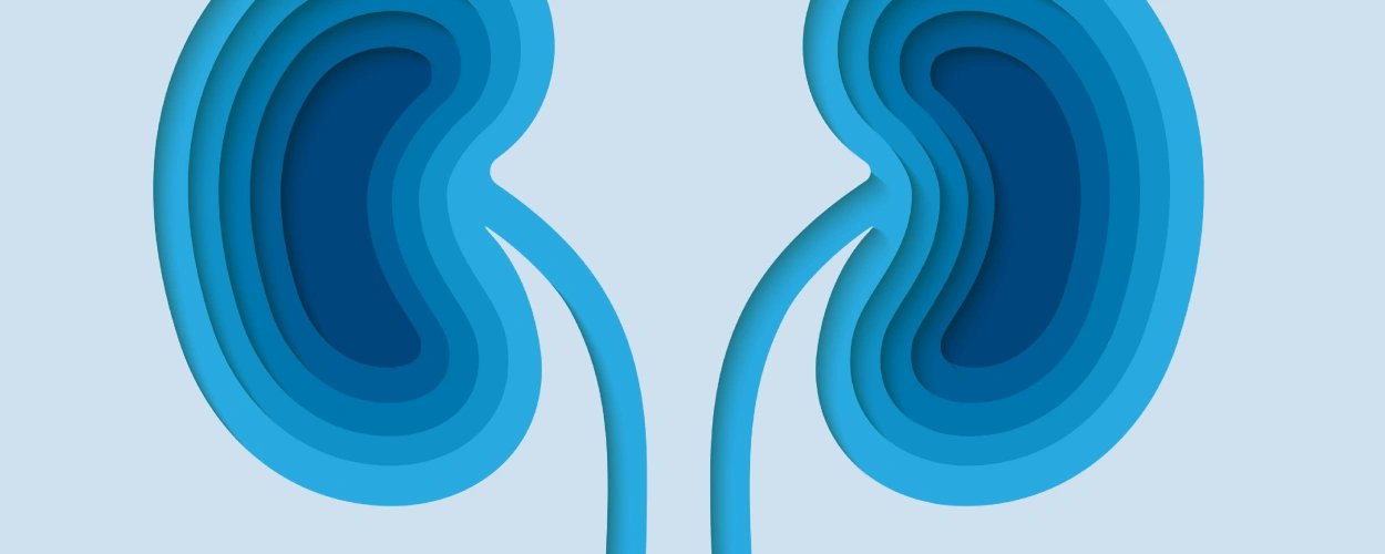 Fokal-segmentale Glomerulosklerose (FSGS)